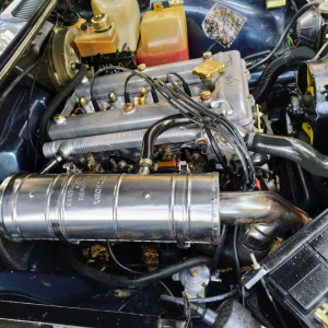 alfa77-04
