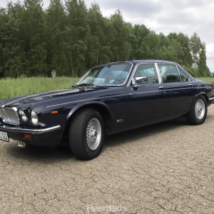heartbids-jaguar-xj12-2048